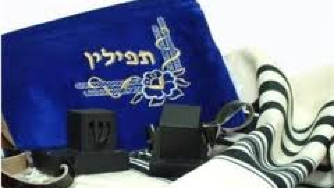 אבי גדל תיק