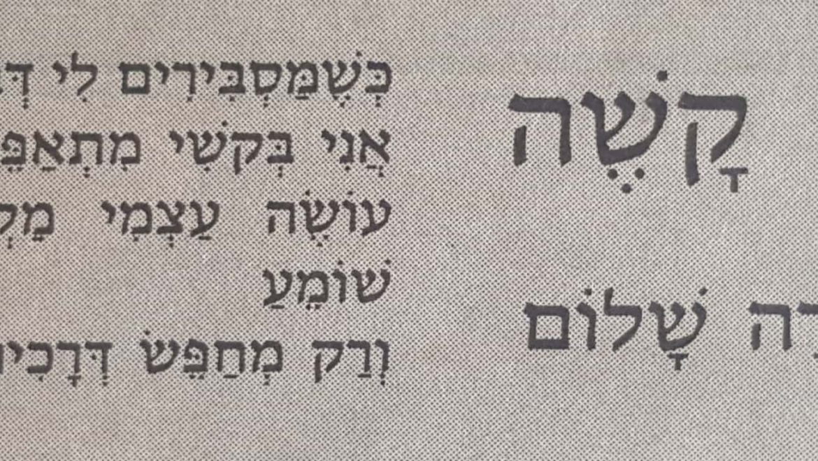 איך המלך_3