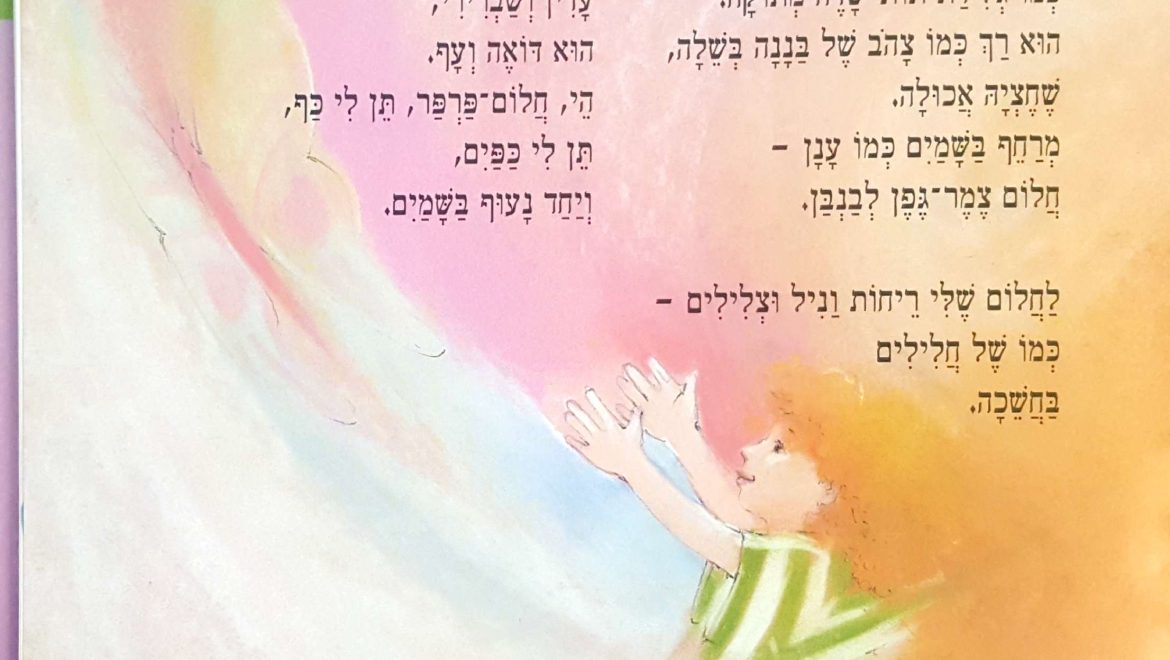 החלום שלי זכויות