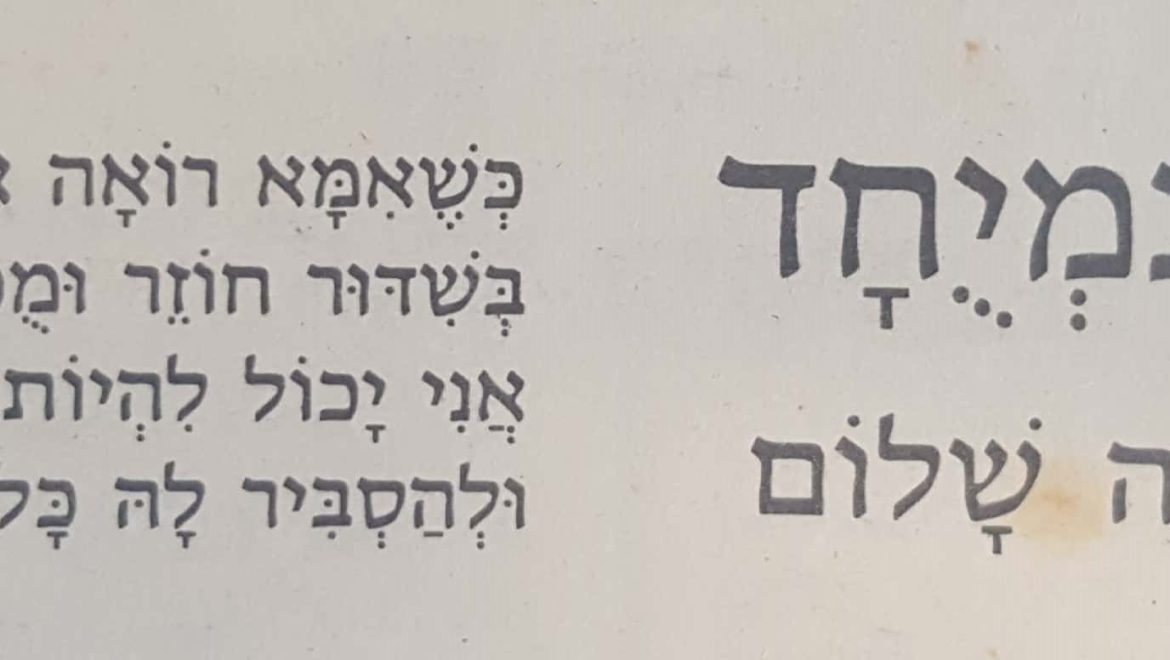 חכם במיוחד_1 (2)