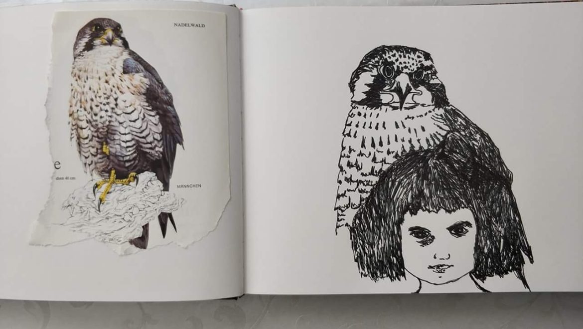 ילדה ונץ – ציור מאת אירית אפטר